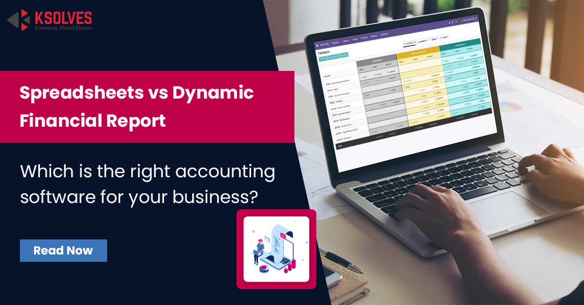 Spreadsheets or Dynamic Financial Report